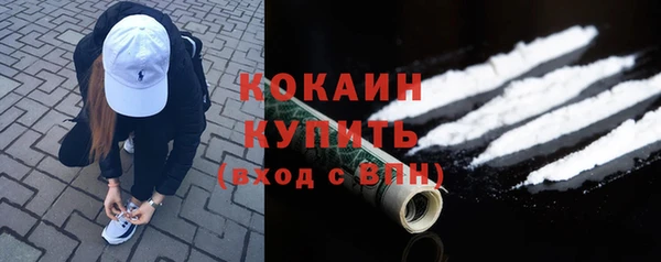 дурь Лабытнанги