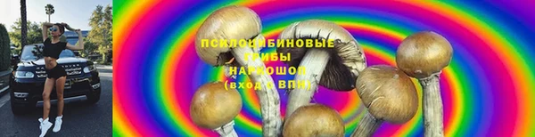 дурь Лабытнанги