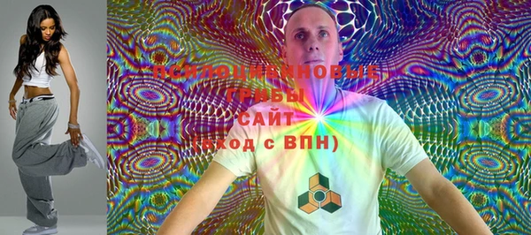дурь Лабытнанги