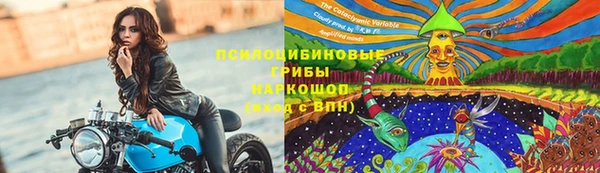 герыч Ладушкин