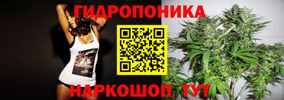 молекула духа Лесосибирск