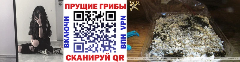 сколько стоит  Лесозаводск  Псилоцибиновые грибы мухоморы 