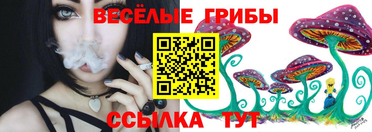 Псилоцибиновые грибы GOLDEN TEACHER  купить  сайты  Лесозаводск  Вход с VPN  Псилоцибиновые грибы Magic Shrooms 